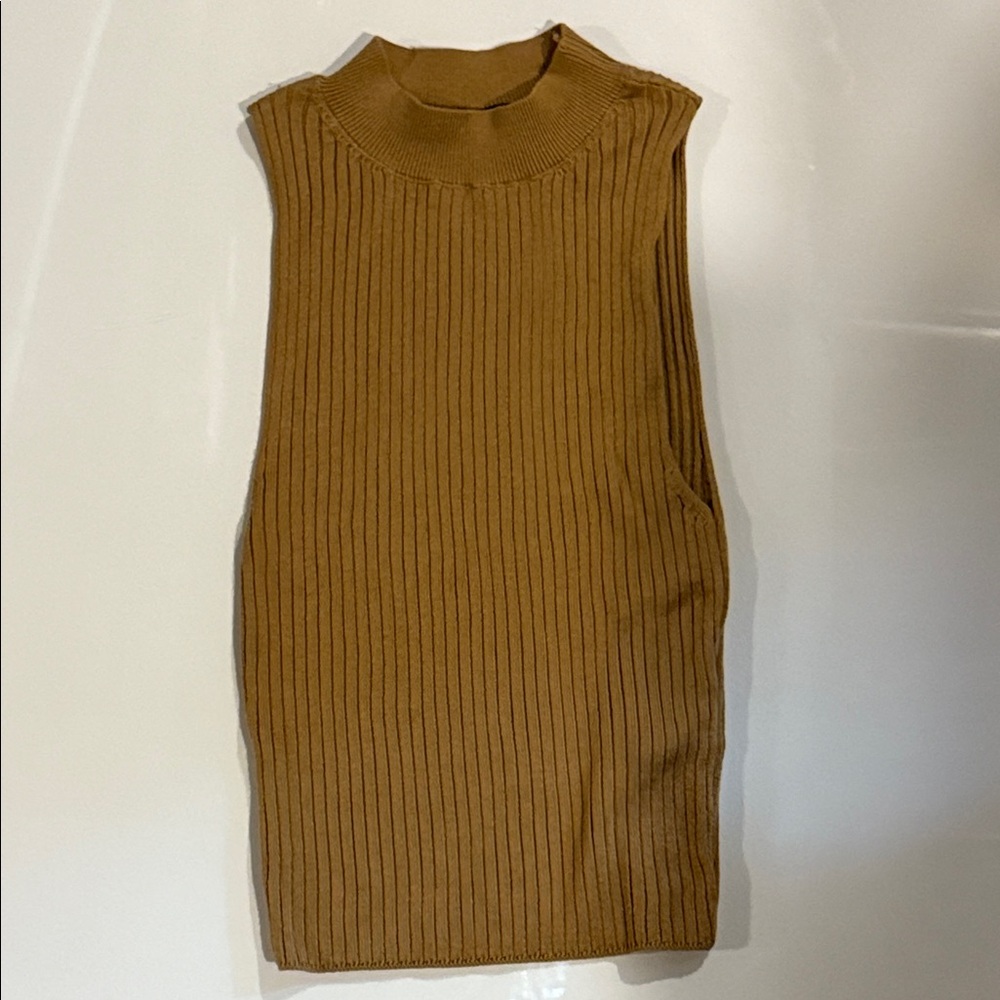 Topshop Ribbed Knit Tank Top - Brown